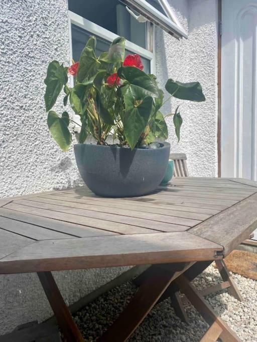 Appartment-the Little Vardo Apartment *